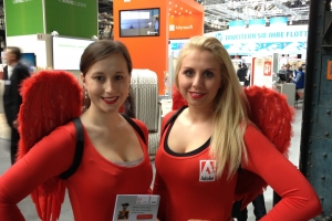 ALSO Channel Trends + Visions 2013