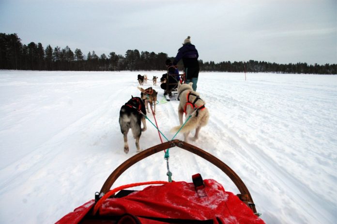 Jahresrückblick: Das waren die Höhepunkte 2014