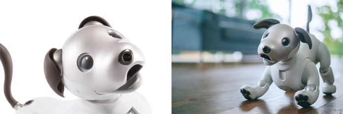 IFA: Sony-Chef kündigt Roboterhund für Europa an